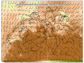 dew-03Mon15Feb202121-00.png