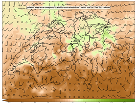 dew-06Tue16Feb202100-00.png