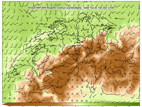 dew-23Tue16Feb202117-00.png