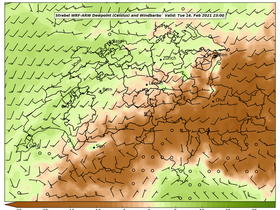 dew-29Tue16Feb202123-00.png