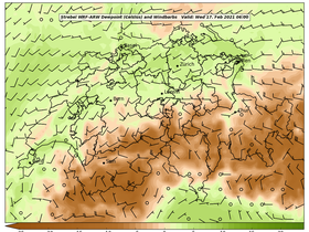 dew-36Wed17Feb202106-00.png