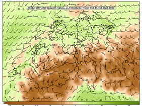 dew-37Wed17Feb202107-00.png