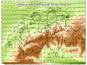 dew-40Wed17Feb202110-00.png