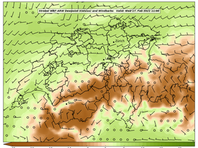 dew-41Wed17Feb202111-00.png