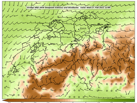 dew-42Wed17Feb202112-00.png