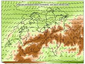 dew-43Wed17Feb202113-00.png