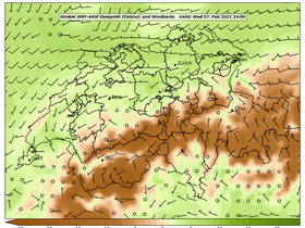 dew-44Wed17Feb202114-00.png