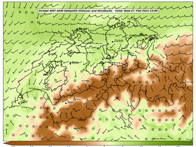 dew-45Wed17Feb202115-00.png