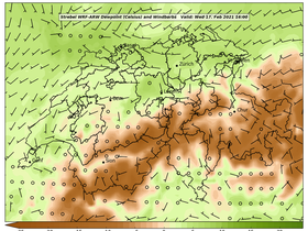 dew-46Wed17Feb202116-00.png