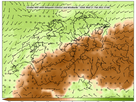 dew-47Wed17Feb202117-00.png