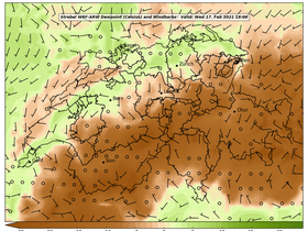 dew-48Wed17Feb202118-00.png