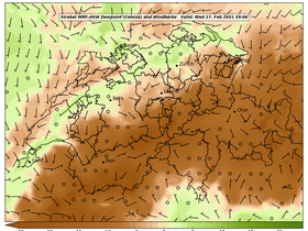 dew-49Wed17Feb202119-00.png