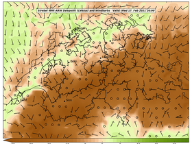 dew-50Wed17Feb202120-00.png