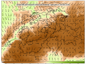 dew-51Wed17Feb202121-00.png