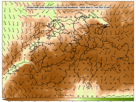 dew-52Wed17Feb202122-00.png