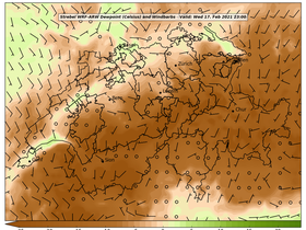 dew-53Wed17Feb202123-00.png