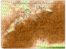 dew-54Thu18Feb202100-00.png