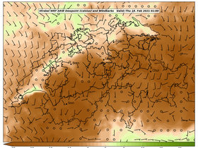 dew-55Thu18Feb202101-00.png