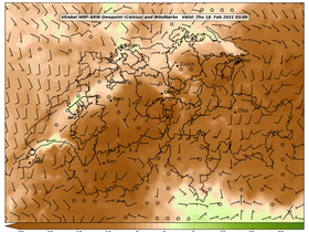 dew-57Thu18Feb202103-00.png