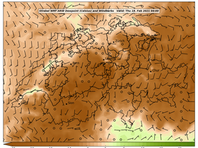 dew-58Thu18Feb202104-00.png