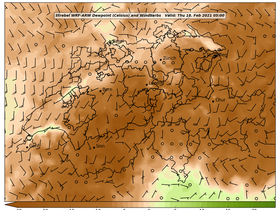 dew-59Thu18Feb202105-00.png