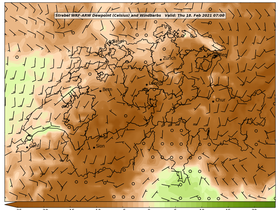 dew-61Thu18Feb202107-00.png