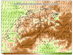 dew-63Thu18Feb202109-00.png