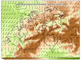 dew-64Thu18Feb202110-00.png