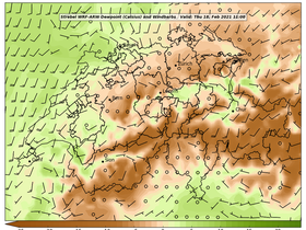 dew-65Thu18Feb202111-00.png