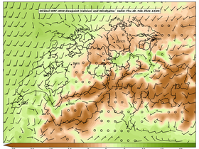 dew-67Thu18Feb202113-00.png