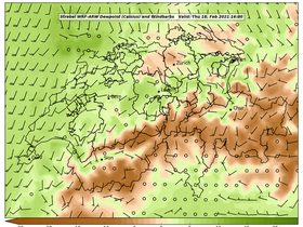 dew-70Thu18Feb202116-00.png