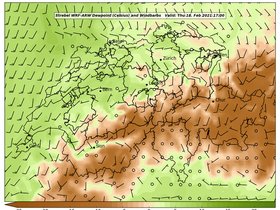 dew-71Thu18Feb202117-00.png