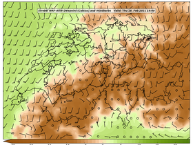 dew-73Thu18Feb202119-00.png