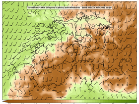 dew-74Thu18Feb202120-00.png