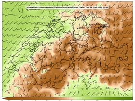 dew-77Thu18Feb202123-00.png