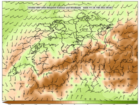 dew-83Fri19Feb202105-00.png