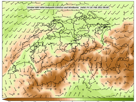 dew-84Fri19Feb202106-00.png