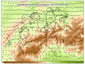 dew-88Fri19Feb202110-00.png