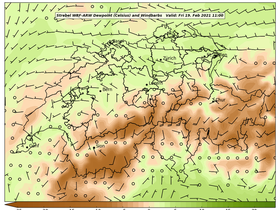 dew-89Fri19Feb202111-00.png