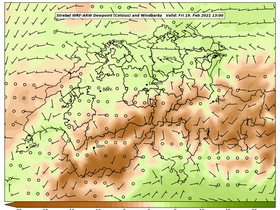 dew-91Fri19Feb202113-00.png